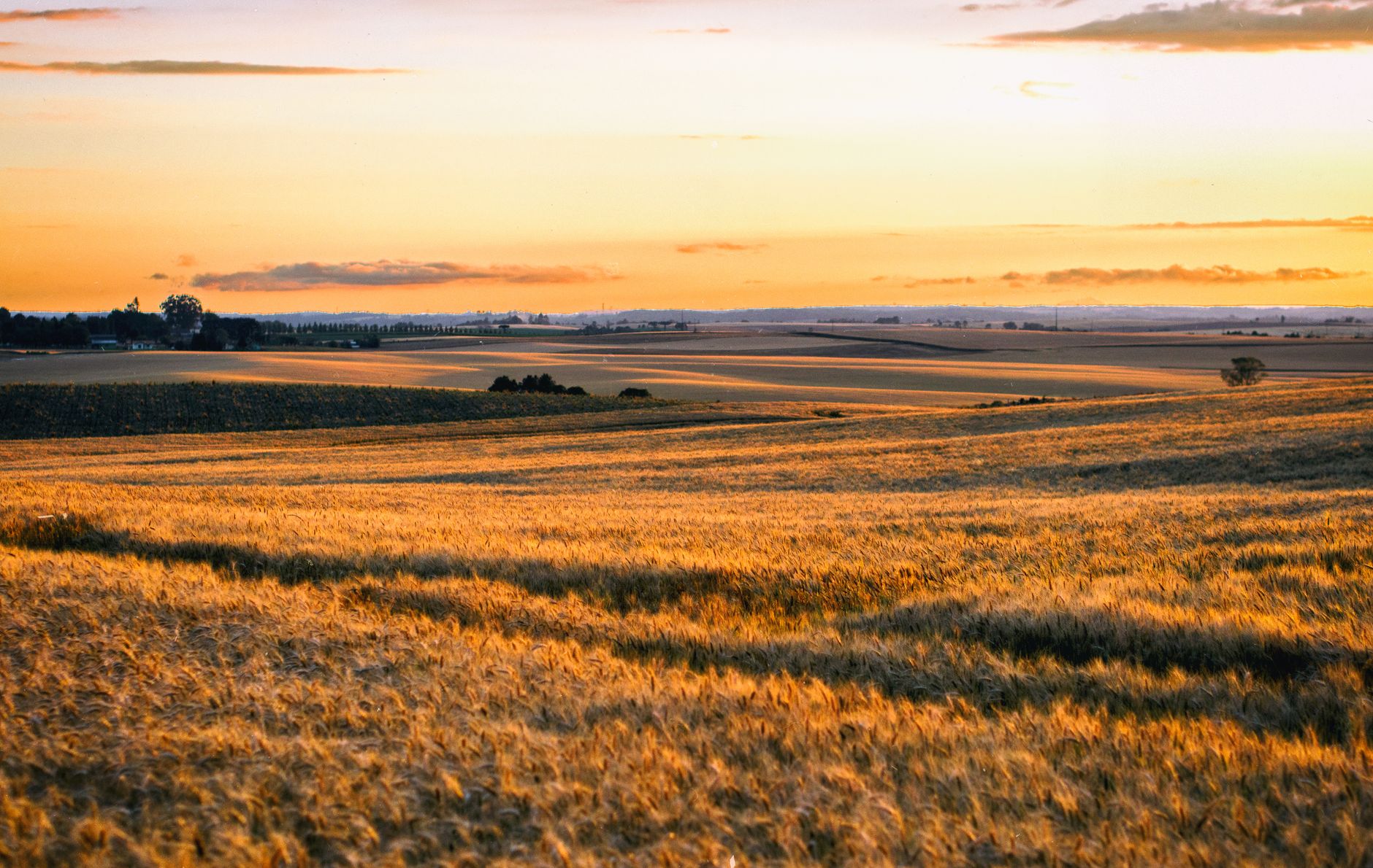 Qu'est-ce que la biodynamie ?