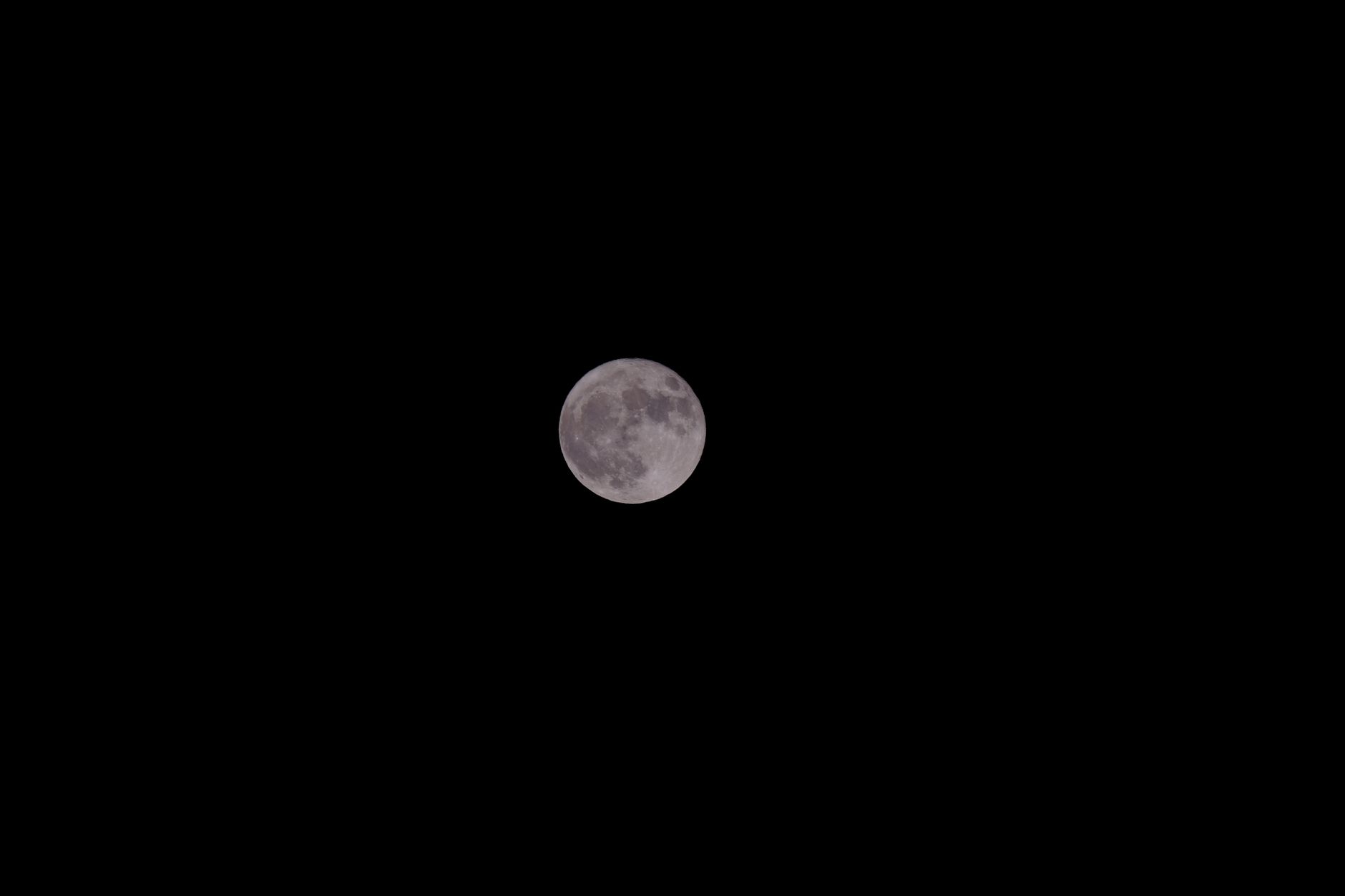 Comprendre le jardinage lunaire
