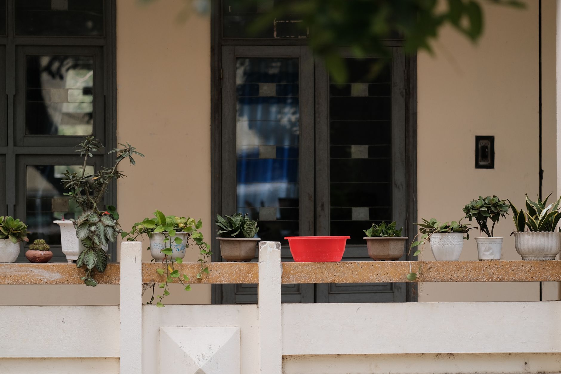 Jardiner avec la lune sur un balcon ou en pot