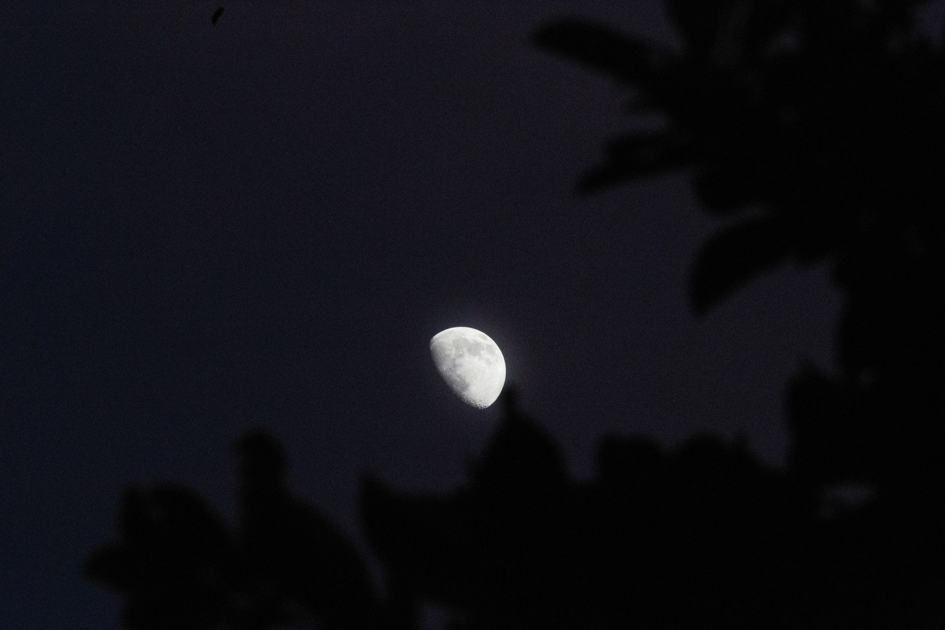 Lune montante ou descendante : la notion la plus confondue