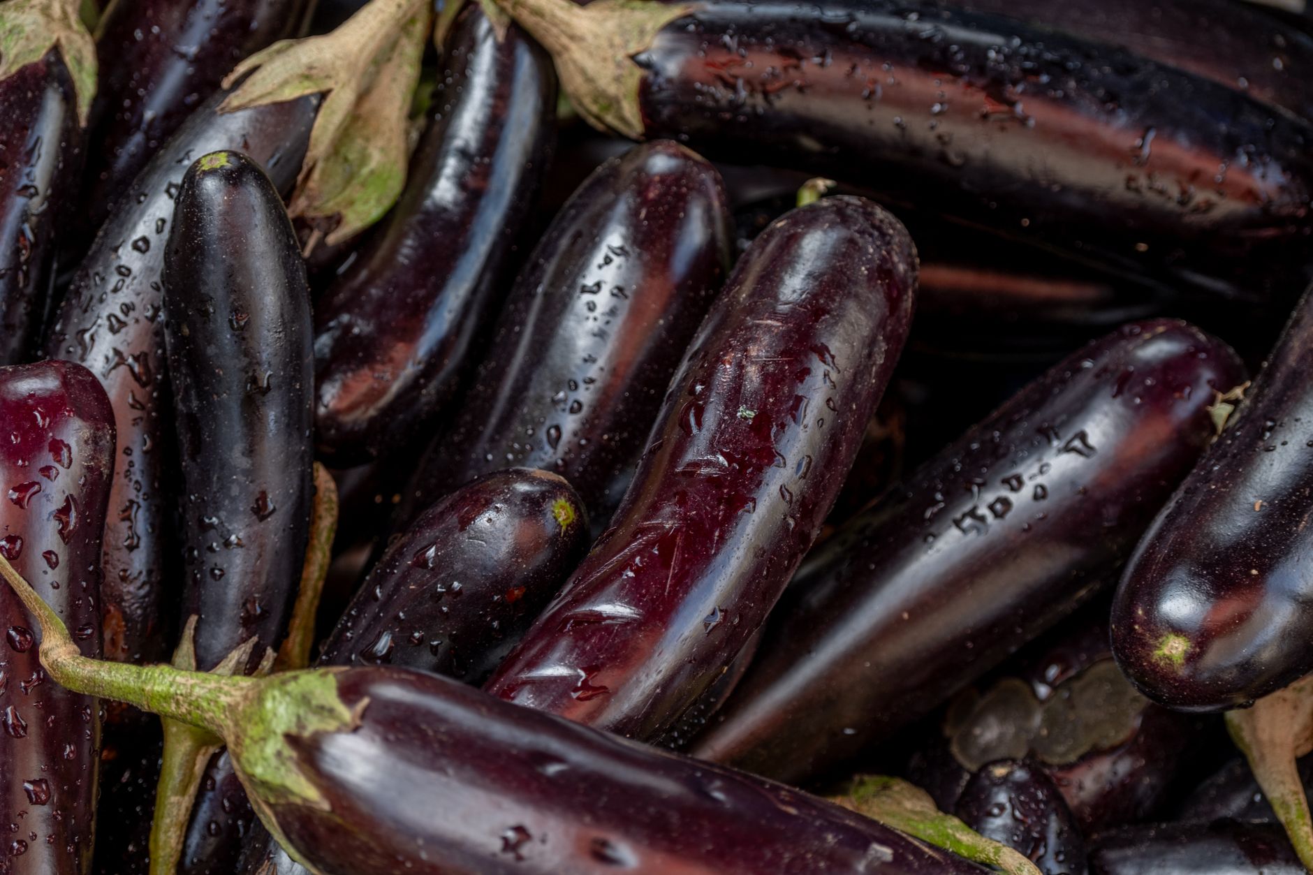 Aubergine, légume fruits