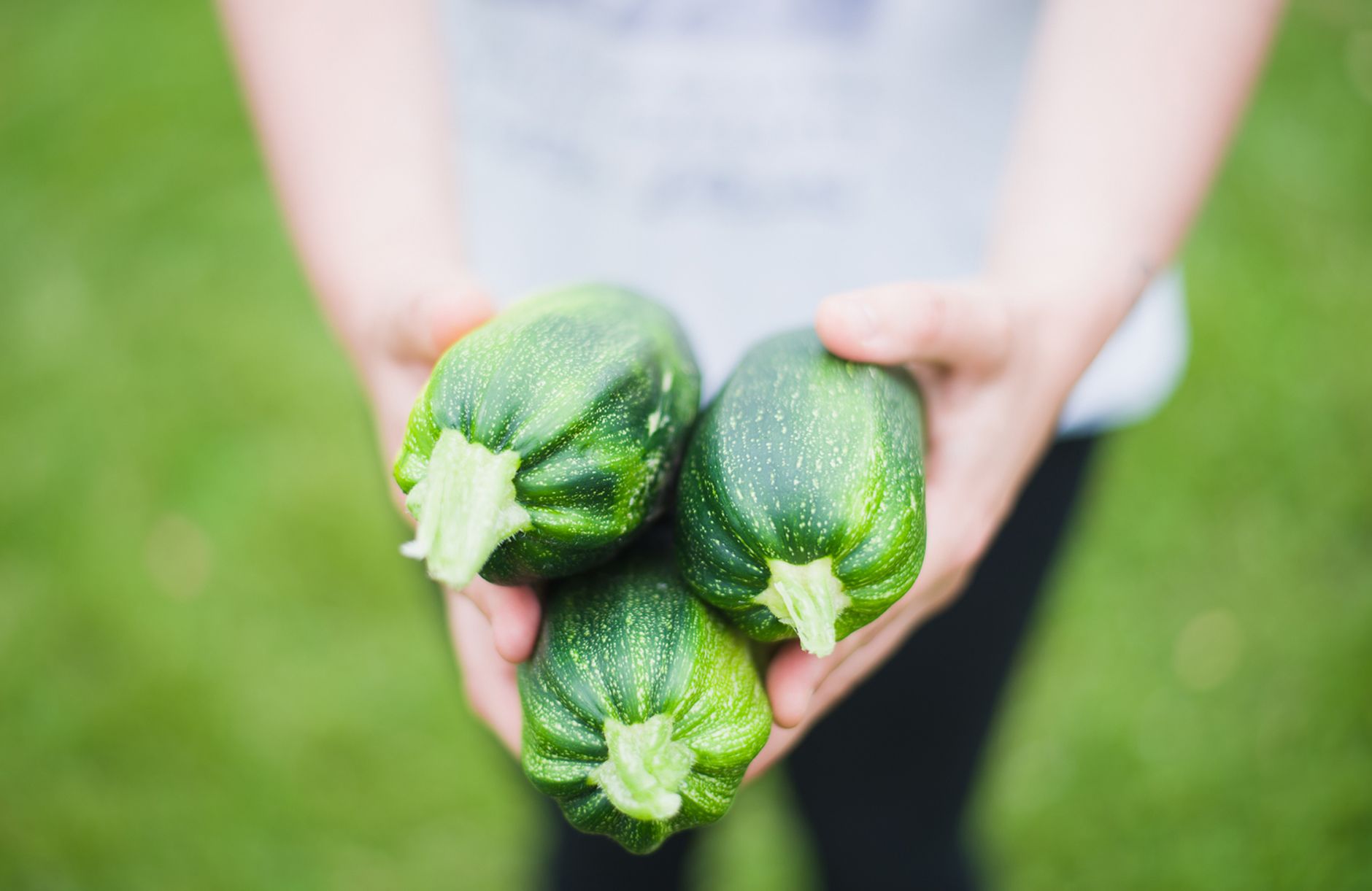 Courgette, légume fruits