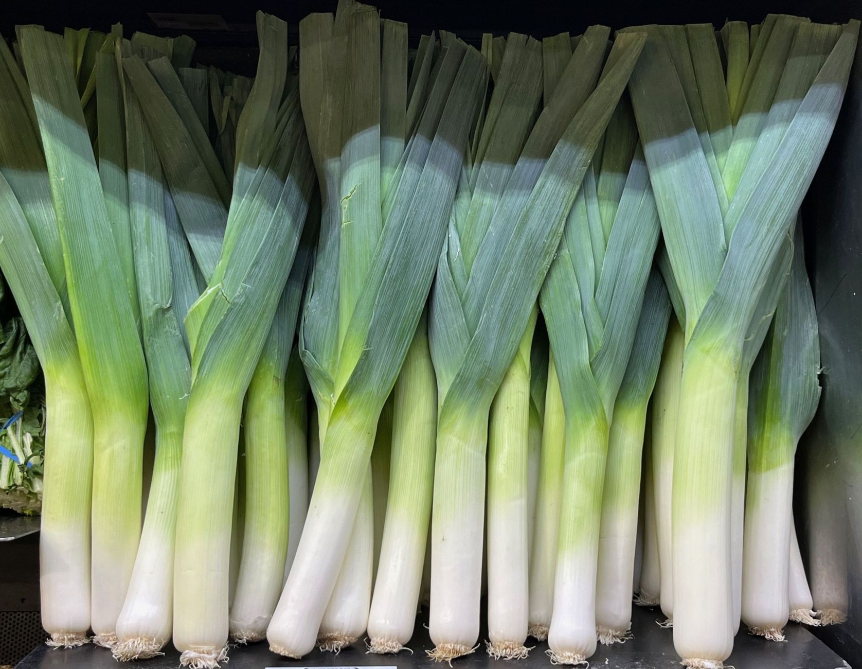 Poireau, légume feuilles